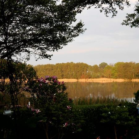 Bungalow Idylle Am See Neuruppin Exteriör bild