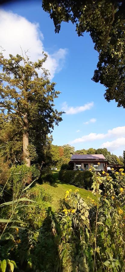 Bungalow Idylle Am See Neuruppin Exteriör bild
