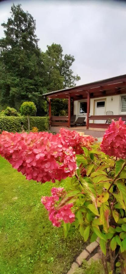 Bungalow Idylle Am See Neuruppin Exteriör bild