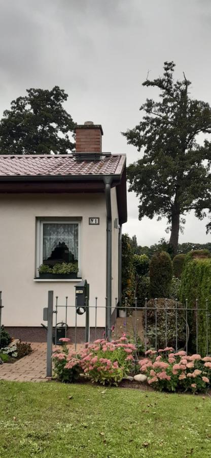 Bungalow Idylle Am See Neuruppin Exteriör bild