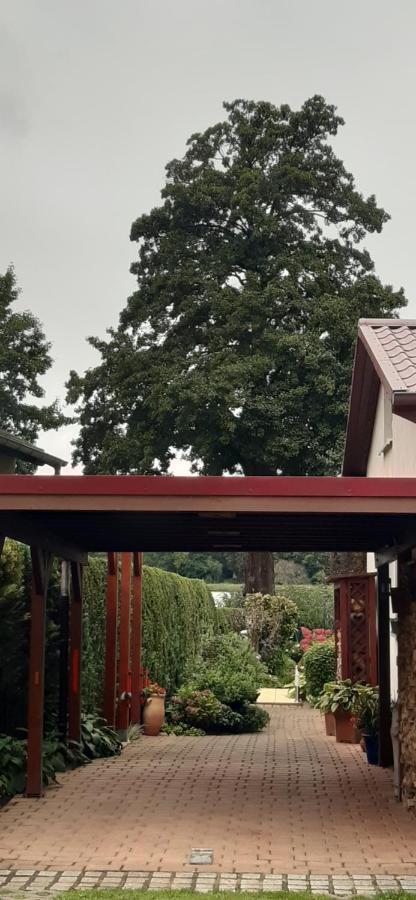 Bungalow Idylle Am See Neuruppin Exteriör bild