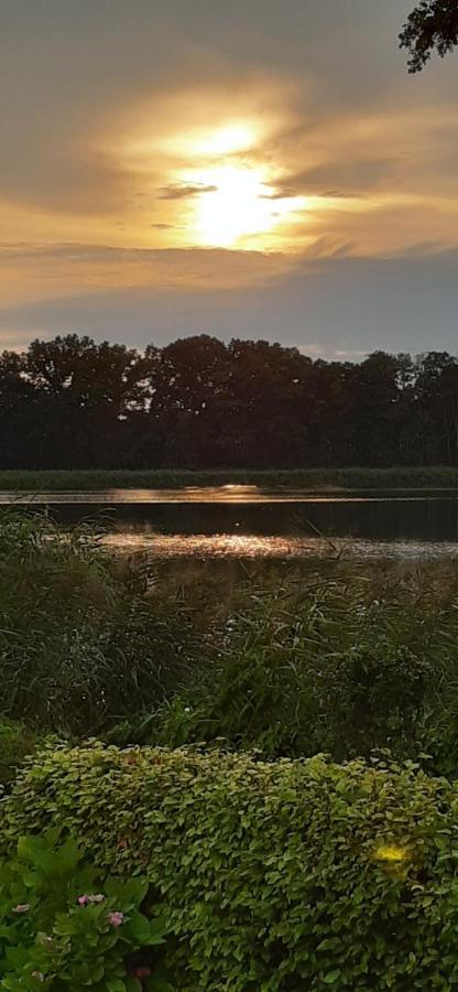 Bungalow Idylle Am See Neuruppin Exteriör bild