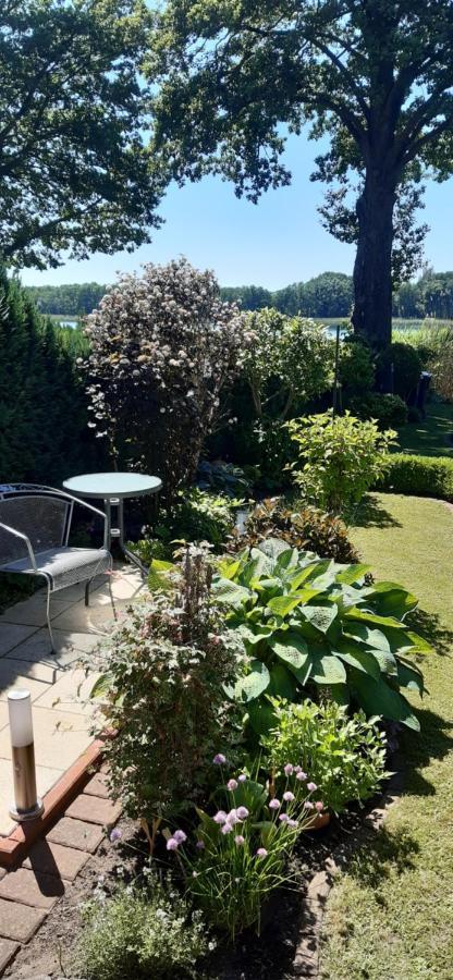 Bungalow Idylle Am See Neuruppin Exteriör bild