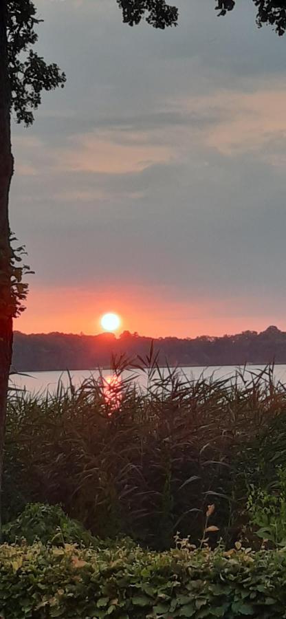 Bungalow Idylle Am See Neuruppin Exteriör bild