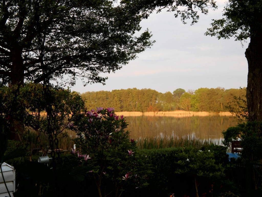 Bungalow Idylle Am See Neuruppin Exteriör bild